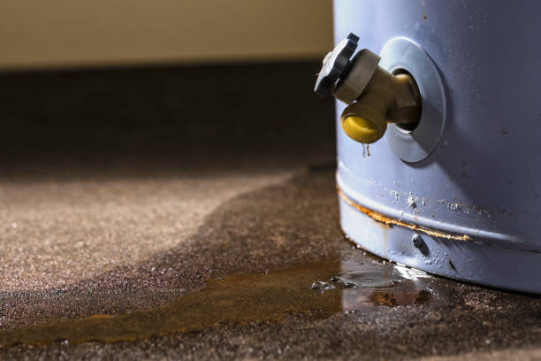 Best Local water damage restoration  in Park Layne, OH