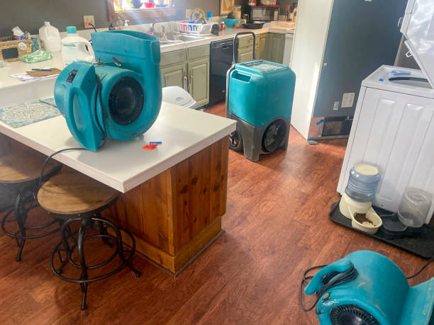 Best Emergency water damage restoration  in Park Layne, OH