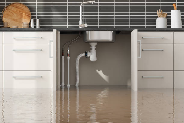 Best Professional water damage repair  in Park Layne, OH